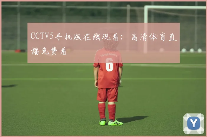 CCTV5手机版在线观看：高清体育直播免费看