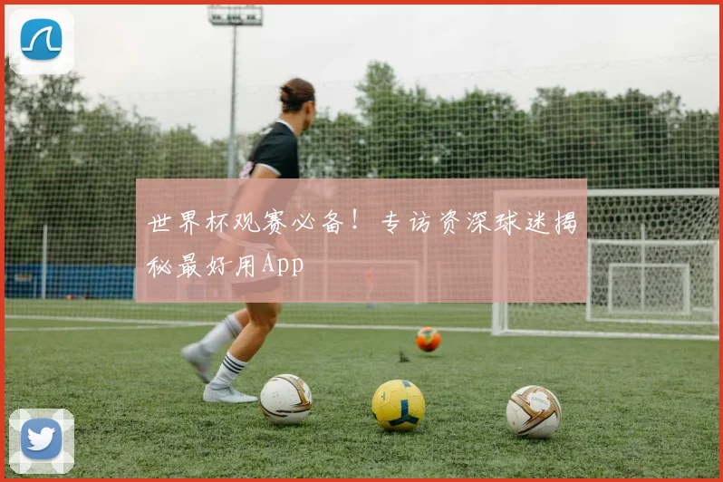 世界杯观赛必备！专访资深球迷揭秘最好用App