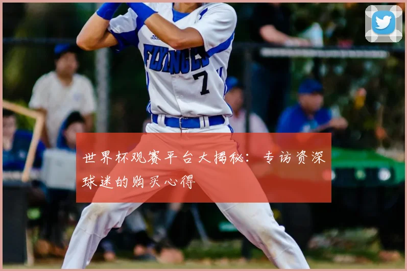 世界杯观赛平台大揭秘：专访资深球迷的购买心得