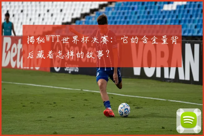 揭秘WTT世界杯决赛：它的含金量背后藏着怎样的故事？