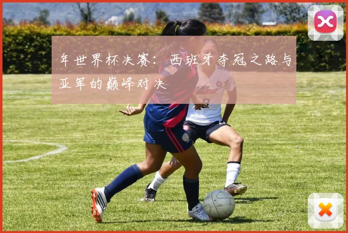 年世界杯决赛：西班牙夺冠之路与亚军的巅峰对决