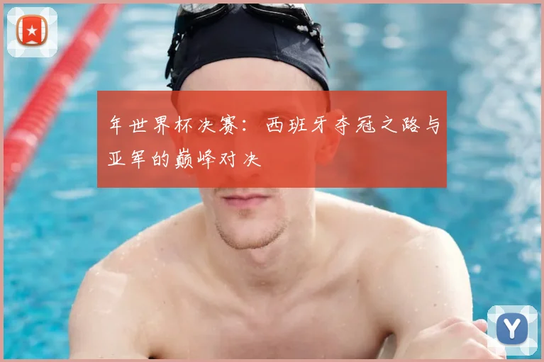 年世界杯决赛：西班牙夺冠之路与亚军的巅峰对决