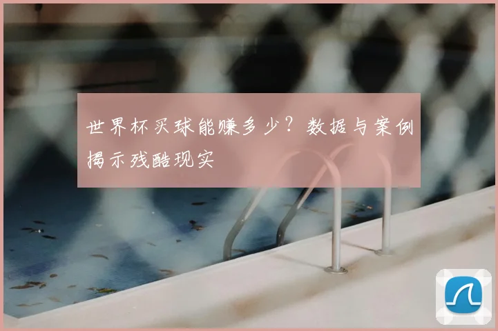 世界杯买球能赚多少？数据与案例揭示残酷现实
