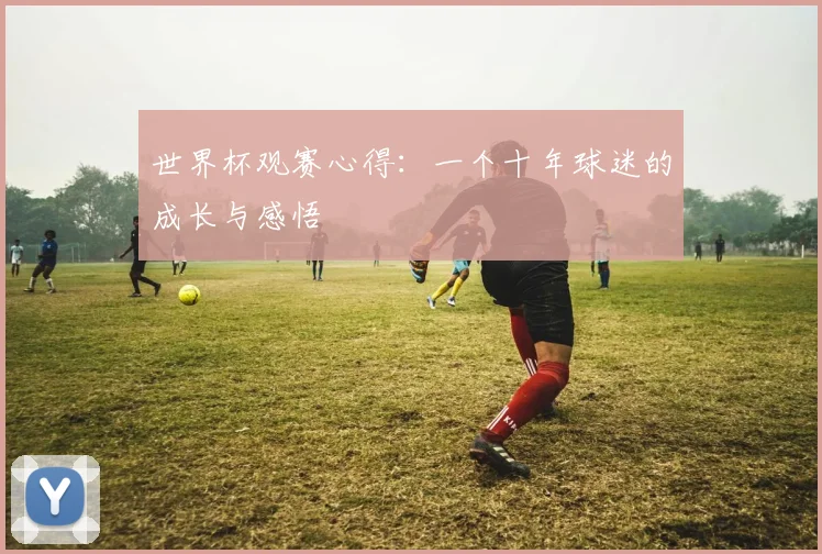 世界杯观赛心得：一个十年球迷的成长与感悟