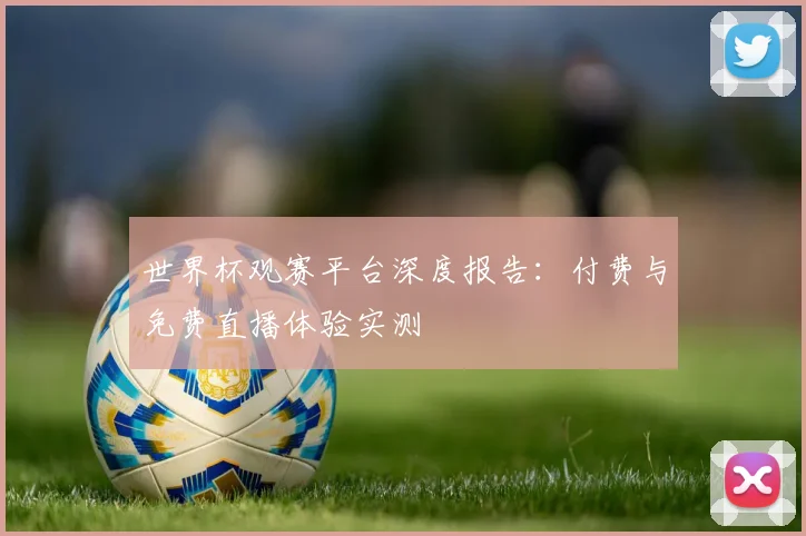 世界杯观赛平台深度报告：付费与免费直播体验实测