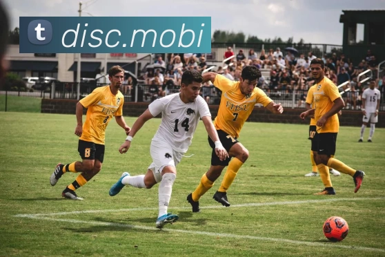 华体网首页官网品牌故事