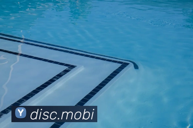 华体网首页官网服务体系